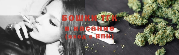 крисы Богородск