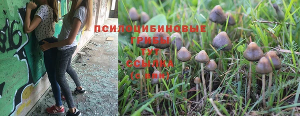 МДПВ Богданович