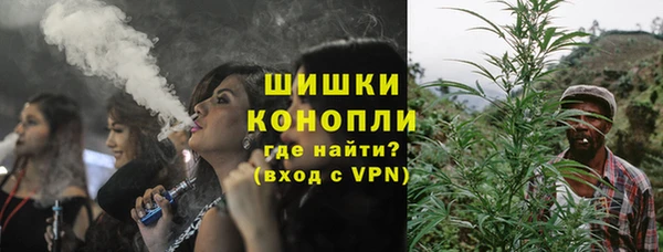 индика Володарск