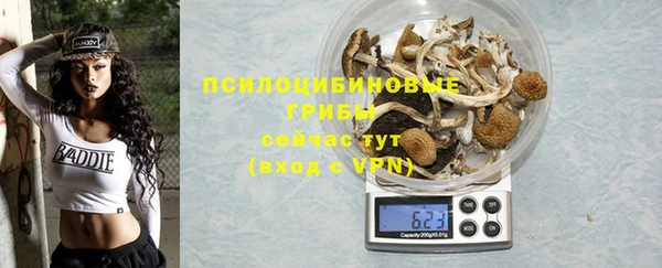 крисы Богородск